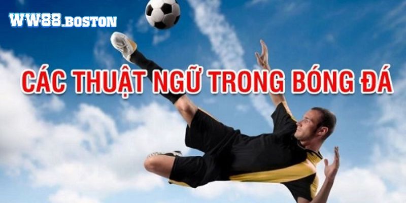 Các thuật ngữ cá độ bóng đá trong đời sống