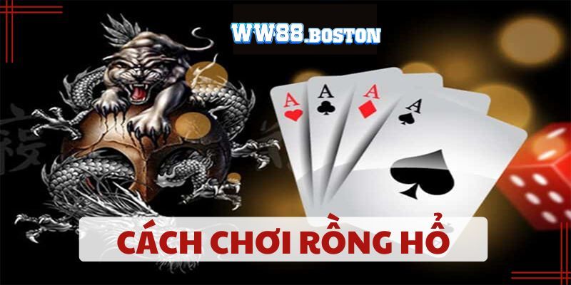 Cách chơi rồng hổ online với mẹo hay từ cao thủ